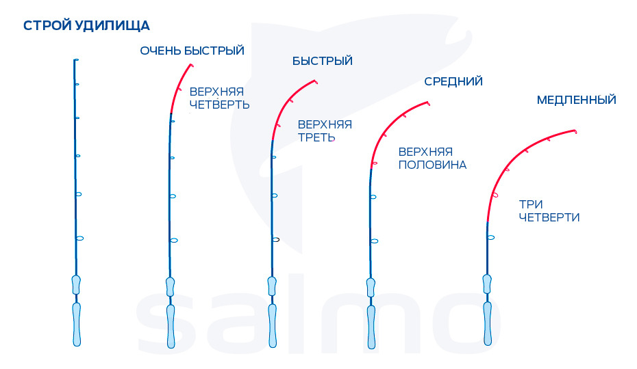Что такое и каким бывает строй спиннингового удилища Что такое и каким бывает строй спиннингового удилища